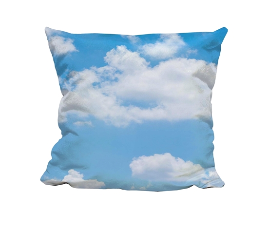 Picture of Dove - Cuddle Cushion