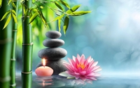 Picture for category Zen Designs