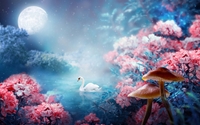 Picture for category Fantasy