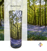Picture of Bluebell Forest Scatter Tube 