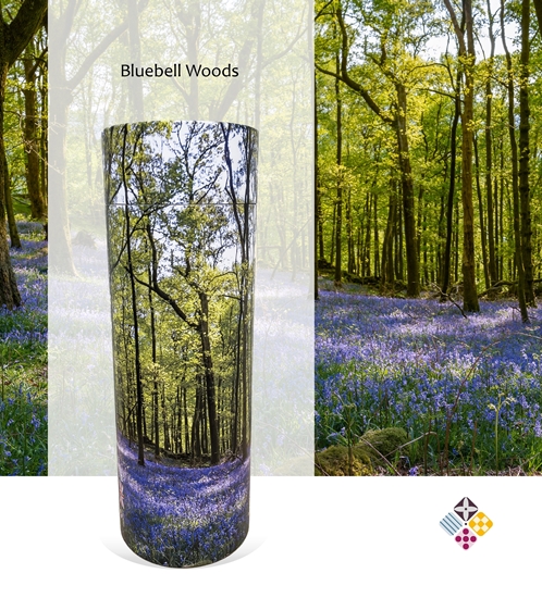 Picture of Bluebell Forest Scatter Tube 